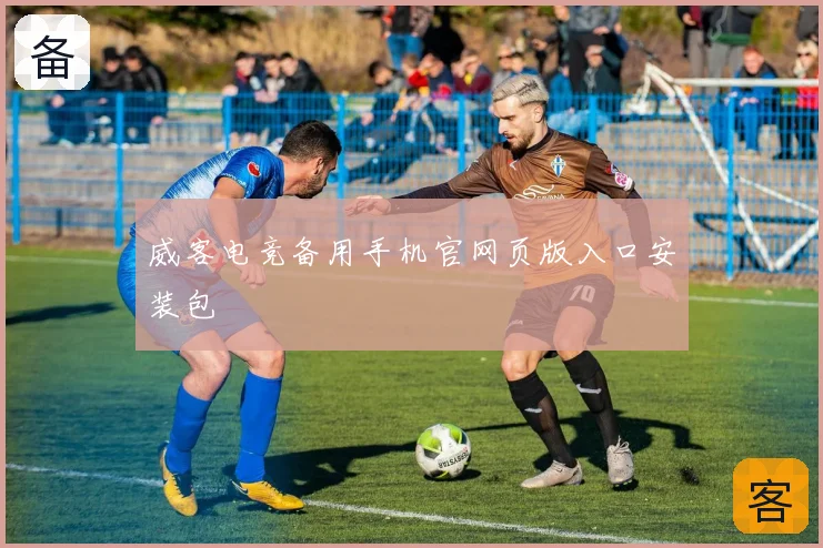威客电竞备用手机官网页版入口安装包