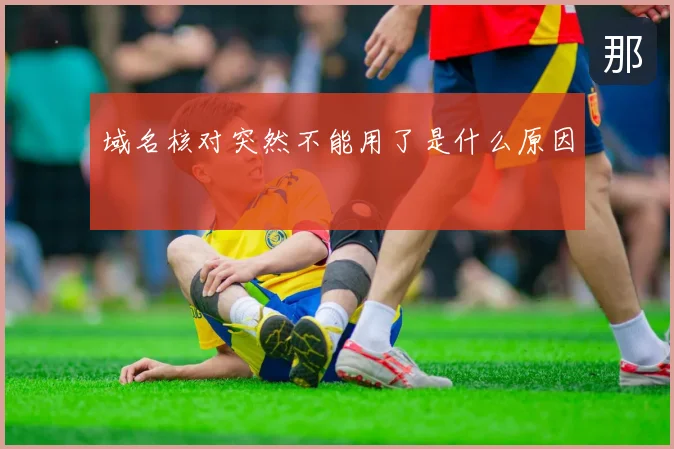 域名核对突然不能用了是什么原因