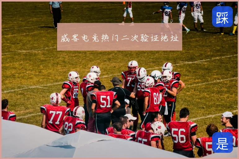 威客电竞热门二次验证地址