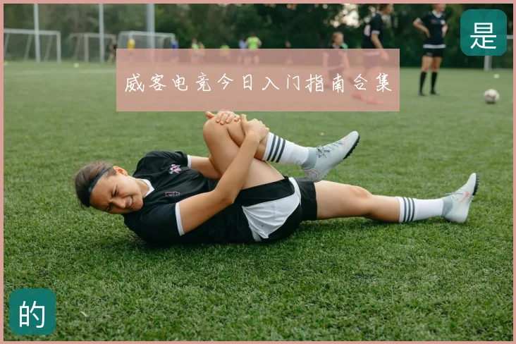 威客电竞今日入门指南合集